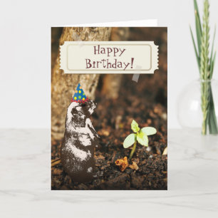 Cute Groundhog Birthday Card