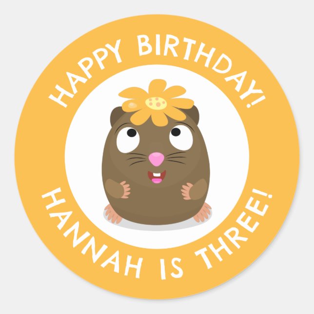 Cute guinea pig cartoon personalised birthday classic round sticker (Front)