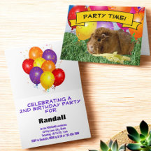 Cute Guinea Pig Children's Birthday Party Balloons