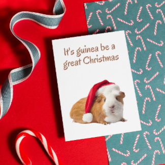  Cute Guinea pig Christmas Card