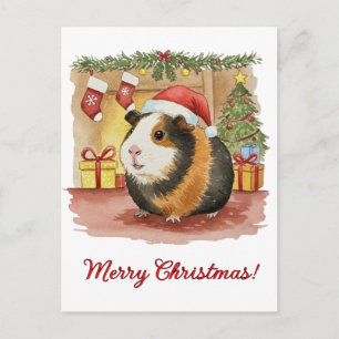 Cute Guinea pig Christmas Cavia Cavy Postcard