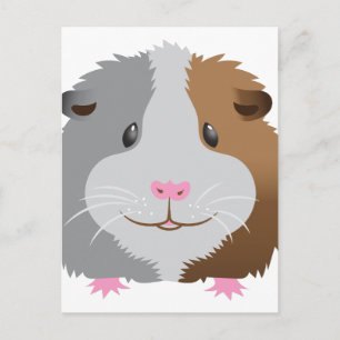 cute guinea pig face postcard