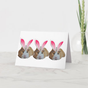 Cute Guinea Pig family Pink Bunny Ears Easter Card