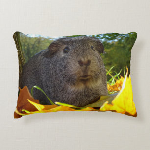 Cute Guinea Pig in Nature Decorative Cushion