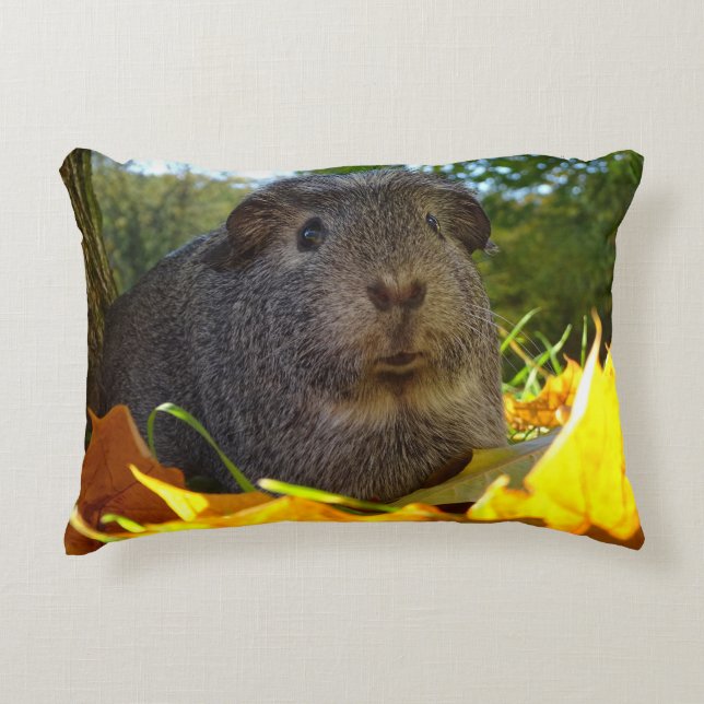Cute Guinea Pig in Nature Decorative Cushion (Front)