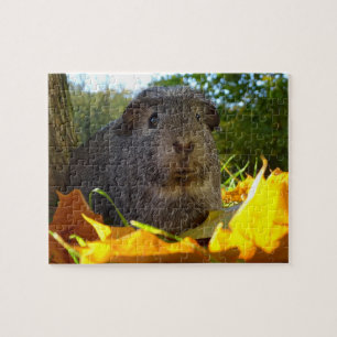 Cute Guinea Pig in Nature Jigsaw Puzzle