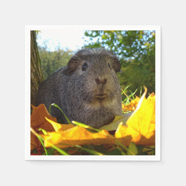 Cute Guinea Pig in Nature Napkin (Front)