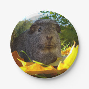 Cute Guinea Pig in Nature Paper Plate