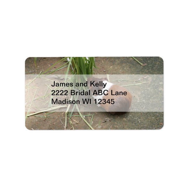 Cute Guinea Pig Label (Front)