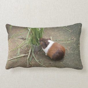 Cute Guinea Pig Lumbar Cushion