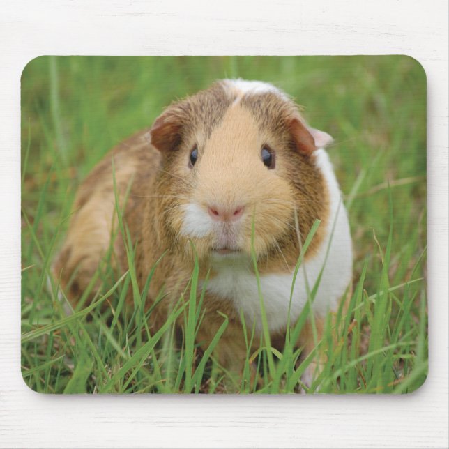 Cute Guinea Pig Mouse Pad (Front)