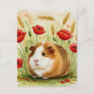 Cute Guinea pig Poppy Flowers Postcard