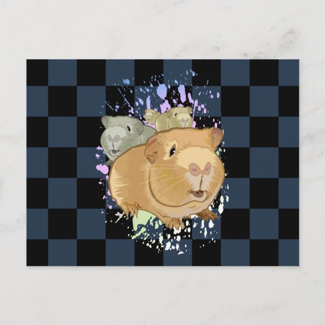 Cute Guinea Pig Trio Dark Chequered Pattern Postcard (Front)