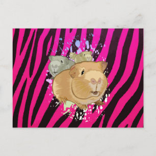 Cute Guinea Pig Trio Hot Pink Zebra Pattern Postcard