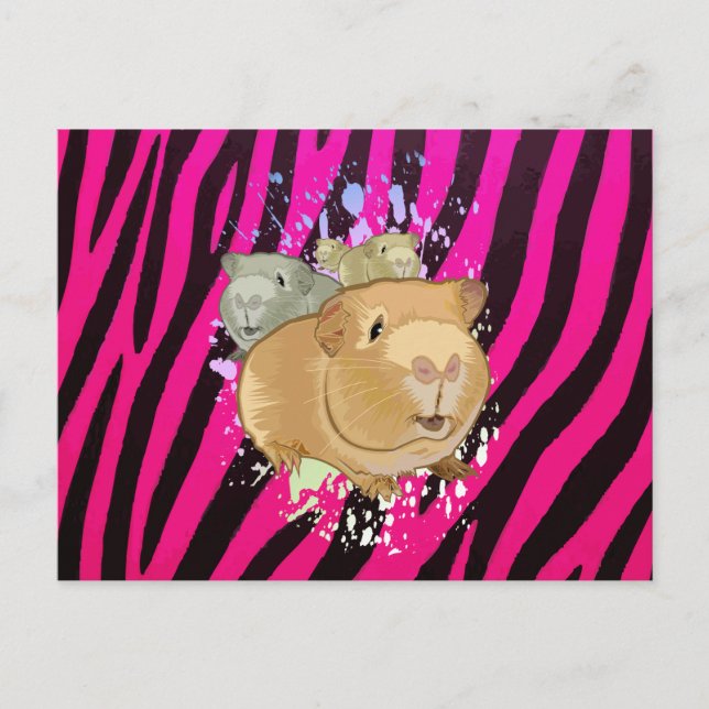 Cute Guinea Pig Trio Hot Pink Zebra Pattern Postcard (Front)