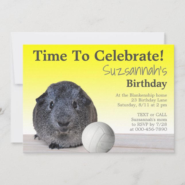 Cute Guinea Pig Volleyball Custom Birthday Party   Invitation (Front)