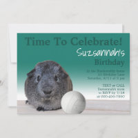 Cute Guinea Pig Volleyball Custom Birthday Party