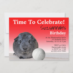 Cute Guinea Pig Volleyball Custom Birthday Party Invitation