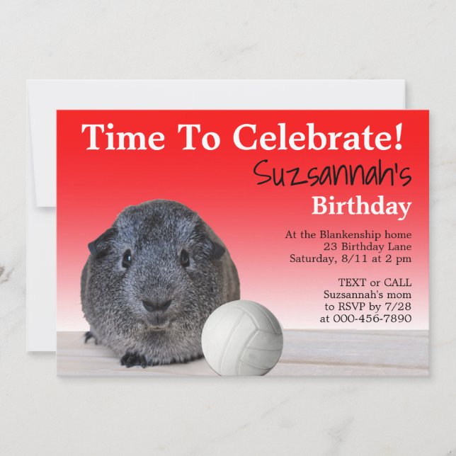 Cute Guinea Pig Volleyball Custom Birthday Party   Invitation (Front)