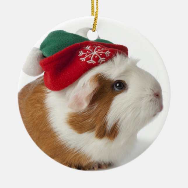 Cute Guinea Pig With Christmas Hat On White Metal Ornament (Front)