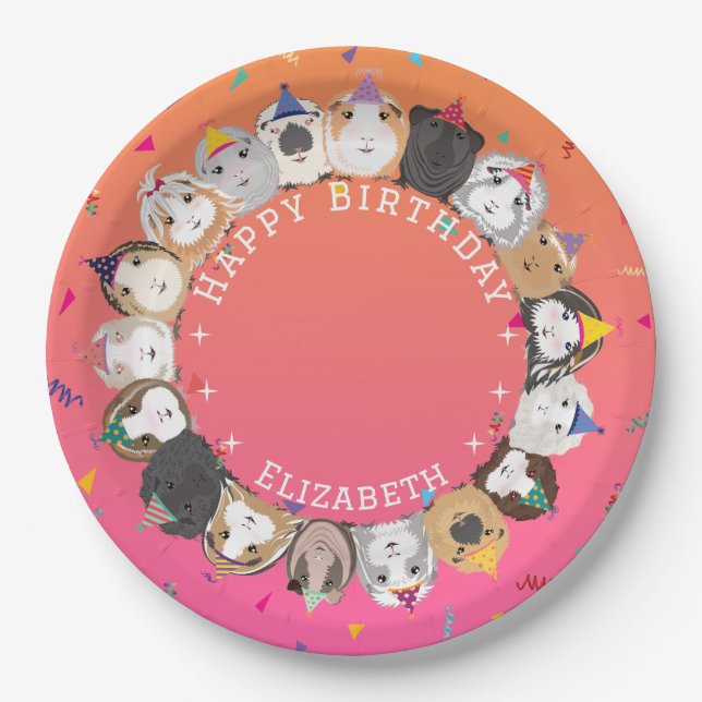 Cute Guinea Pigs Birthday Paper Plate (Front)