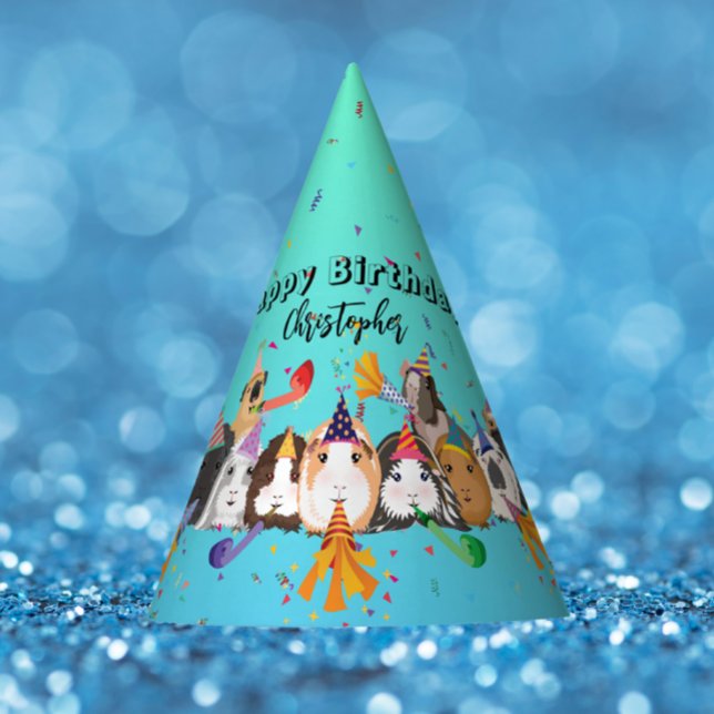 Cute Guinea Pigs Boy Birthday Party Hat (Creator Uploaded)