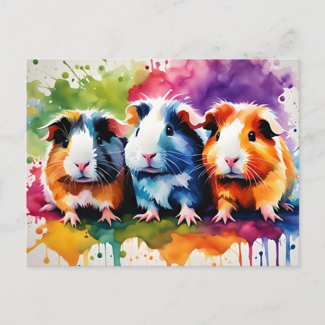 Cute guinea pigs with splashes of colour, custom postcard (Front)