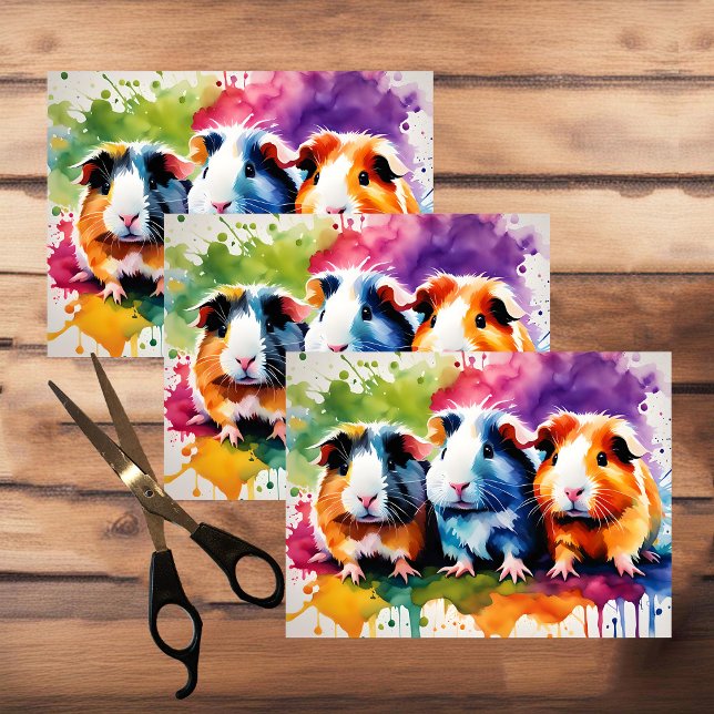 Cute guinea pigs with splashes of colour tissue paper (Creator Uploaded)