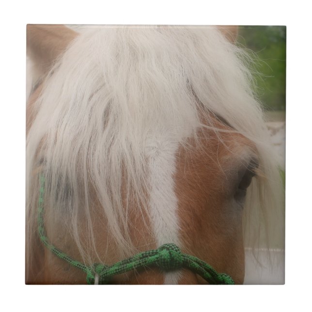 Cute Haflinger Horse Face Animal Ceramic Tile (Front)