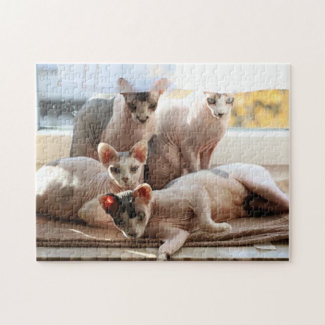 Cute Hairless Cats in a window -  Sphynx Jigsaw Puzzle (Horizontal)