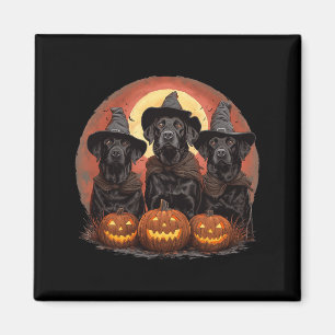 Cute Halloween Black Labrador Retriever Dogs Witch Magnet
