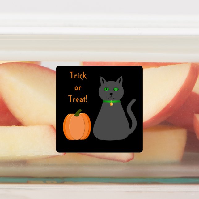 Cute Halloween Cat and Pumpkin Custom (Affixed)