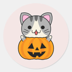 Cute Halloween Cat in Jack o Lantern Classic Round Sticker