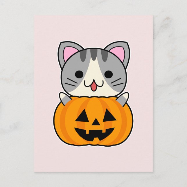 Cute Halloween Cat in Jack o Lantern Postcard (Front)