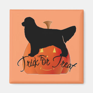 Cute Halloween Golden Retriever Items Magnet