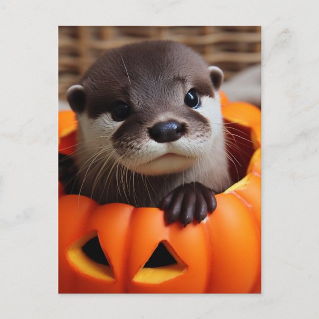 Cute Halloween Otter Postcard (Front)