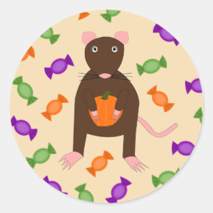 Cute Halloween Rat and Pumpkin Classic Round Sticker