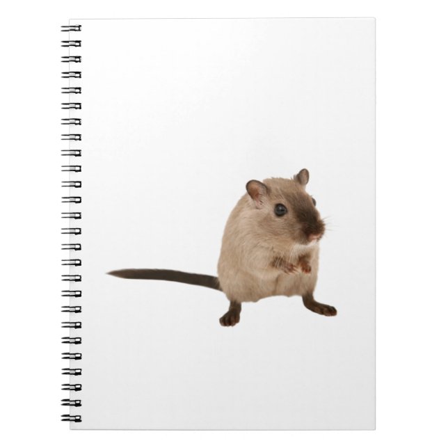 cute hampster notebook (Front)
