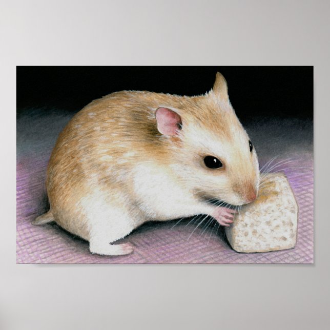 Cute Hamster 18 Poster (Front)
