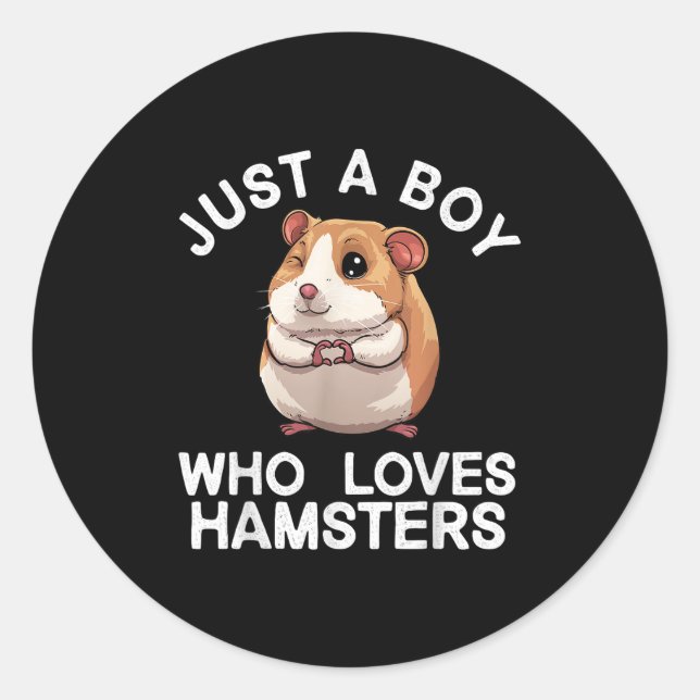 Cute Hamster Art For Boys Men Kids Rodent Hamster  Classic Round Sticker (Front)