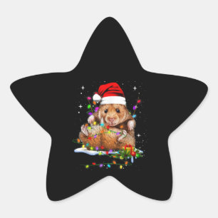 Cute Hamster Christmas Day Star Sticker