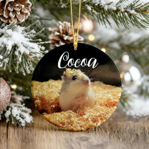 Cute Hamster Gift For Hamster Lovers Ceramic Ornament