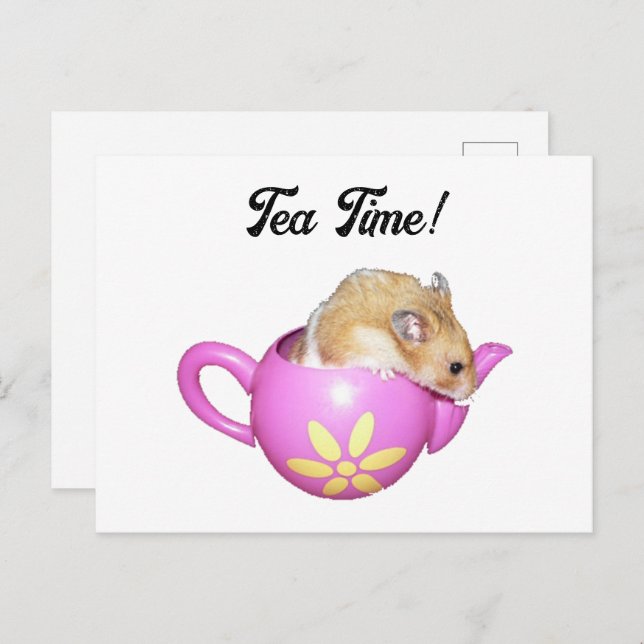 Cute Hamster in Pink Teapot with Daisy Photo Postcard (Front/Back)