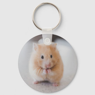 Cute hamster key ring