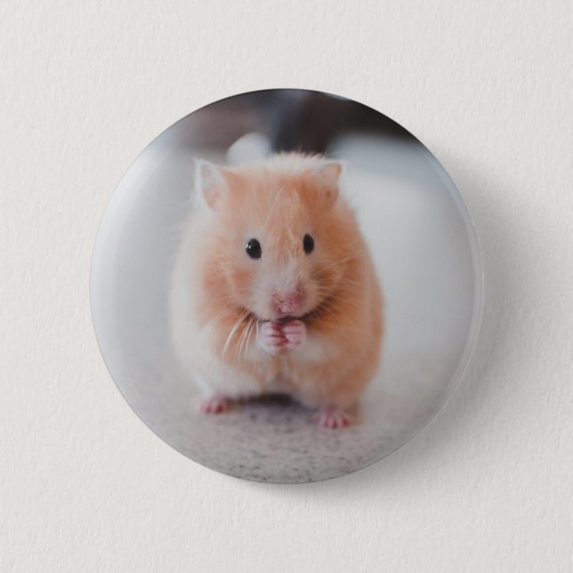 Cute Hamster Love Animals 6 Cm Round Badge (Front)