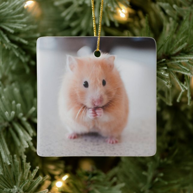 Cute Hamster Love Animals Ceramic Ornament (Tree)