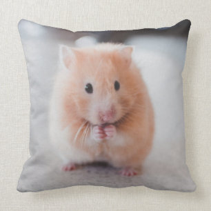Cute Hamster Love Animals Cushion