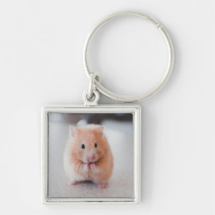 Cute Hamster Love Animals Key Ring