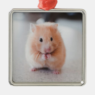 Cute Hamster Love Animals Metal Ornament