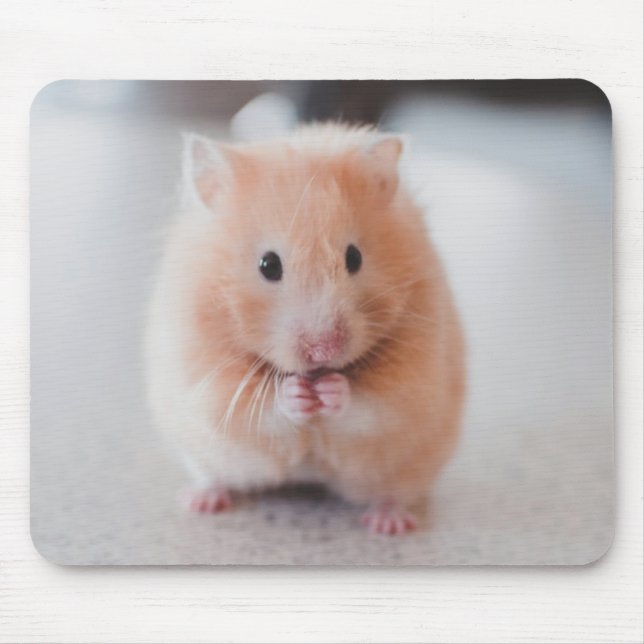 Cute Hamster Love Animals Mouse Pad (Front)